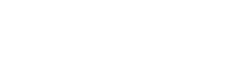 Blades Vision
